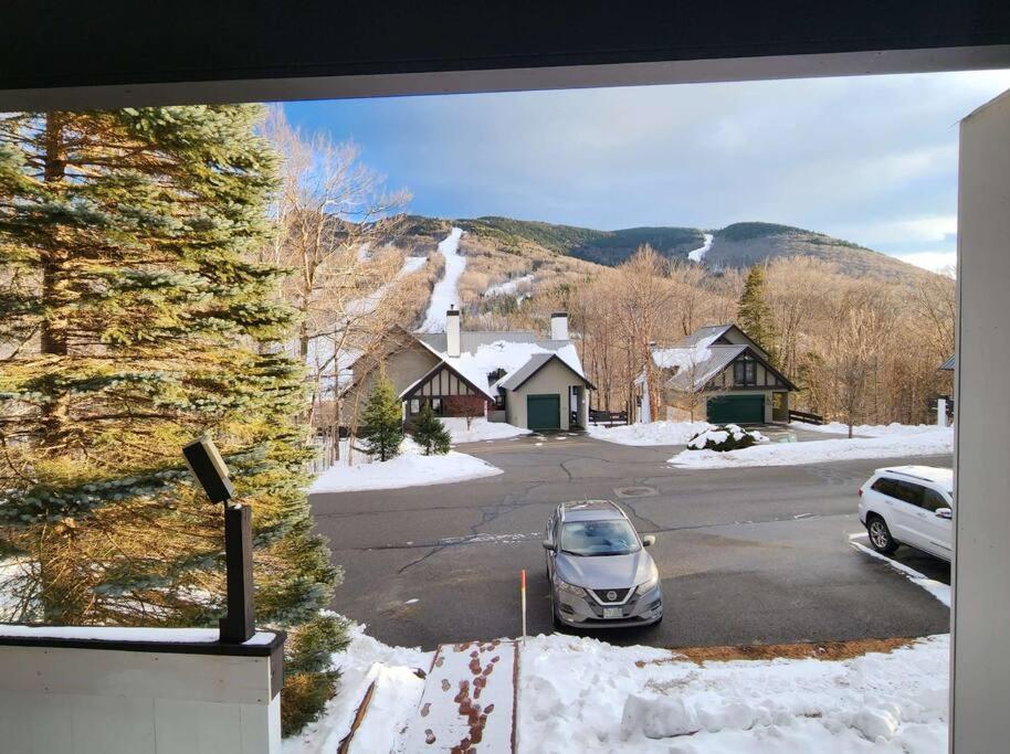 White Mountain Vista! *